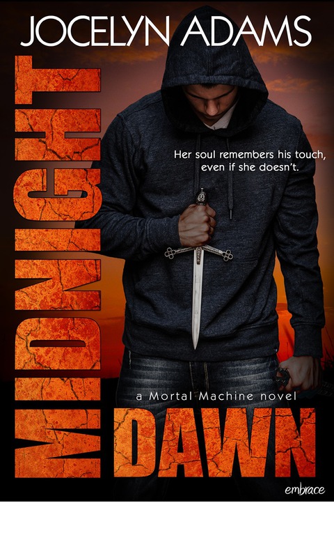 Cover image for book Midnight Dawn