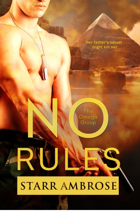 Cover image for book No Rules