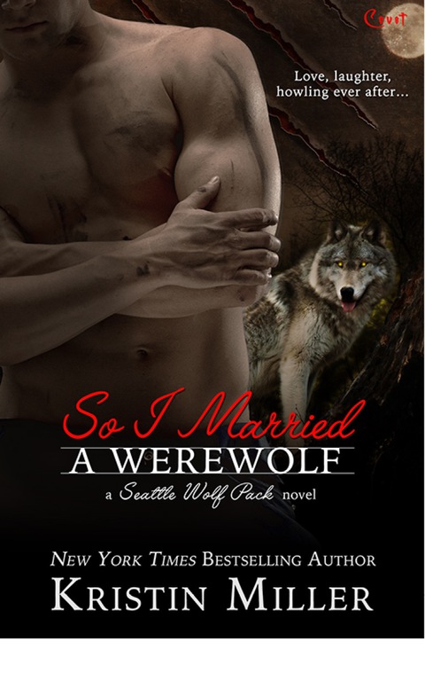 Cover image for book So I Married a Werewolf