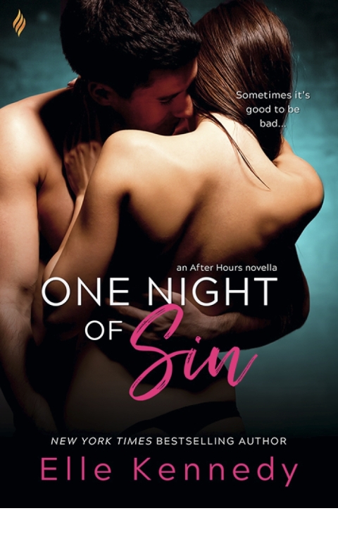 Cover image for book One Night of Sin
