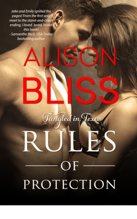 Cover image for book Rules of Protection