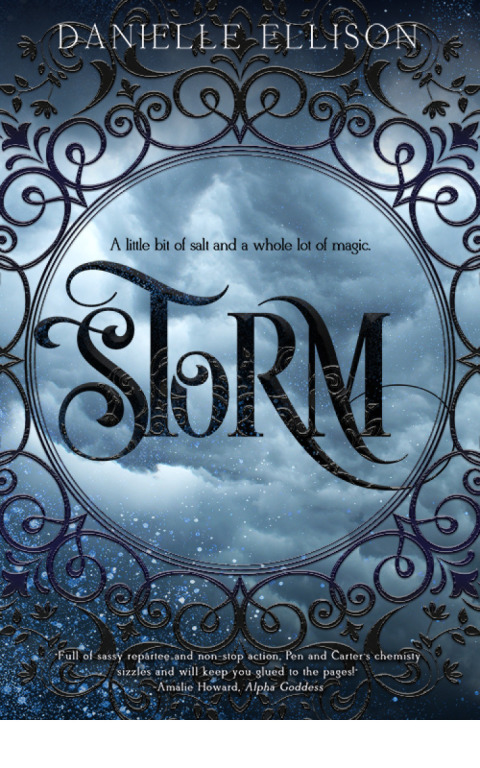 Cover image for book Storm