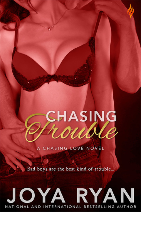 Cover image for book Chasing Trouble