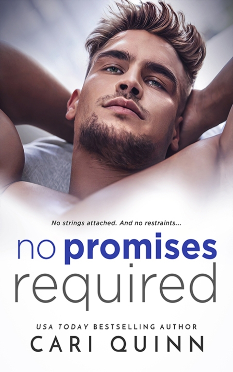 Cover image for book No Promises Required