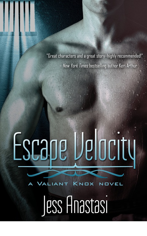 Cover image for book Escape Velocity