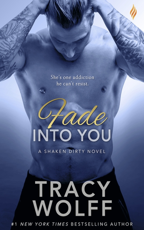 Cover image for book Fade Into You