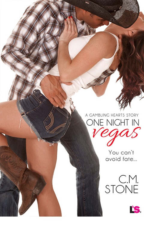 Cover image for book One Night in Vegas
