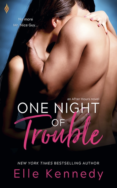 Cover image for book One Night of Trouble