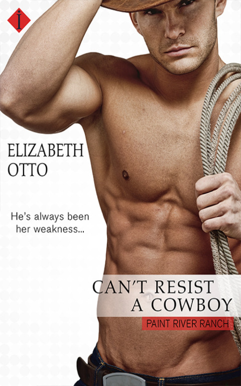 Cover image for book Can't Resist a Cowboy