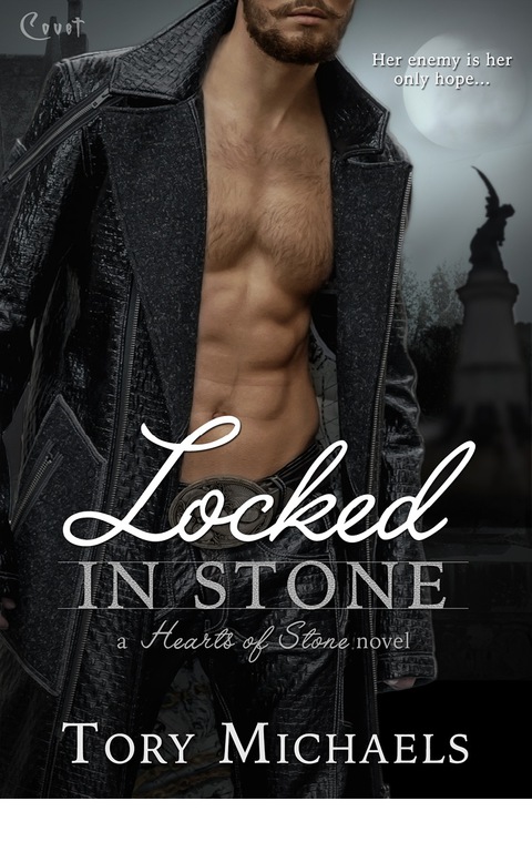 Cover image for book Locked in Stone