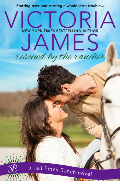 Cover image for book Rescued By the Rancher