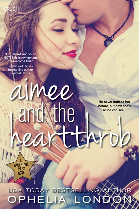 Cover image for book Aimee and the Heartthrob