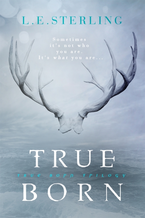 Cover image for book True Born