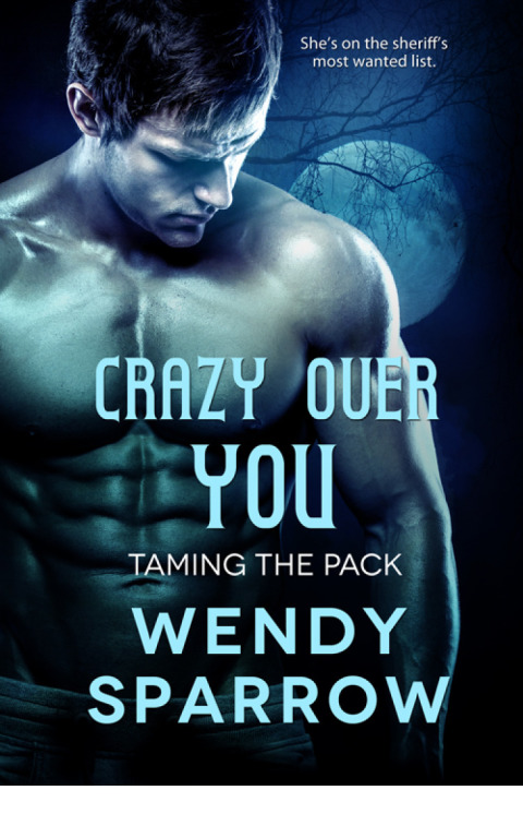 Cover image for book Crazy Over You