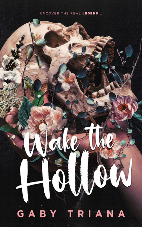 Cover image for book Wake the Hollow