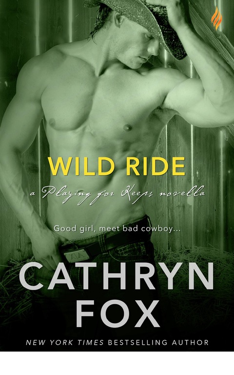 Cover image for book Wild Ride