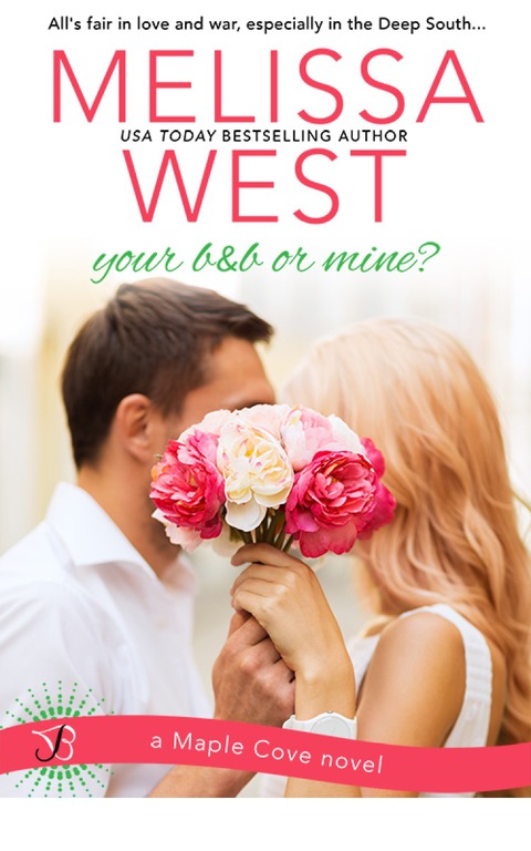 Cover image for book Your B&B or Mine?