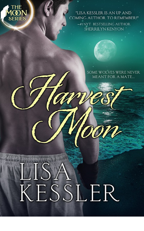 Cover image for book Harvest Moon
