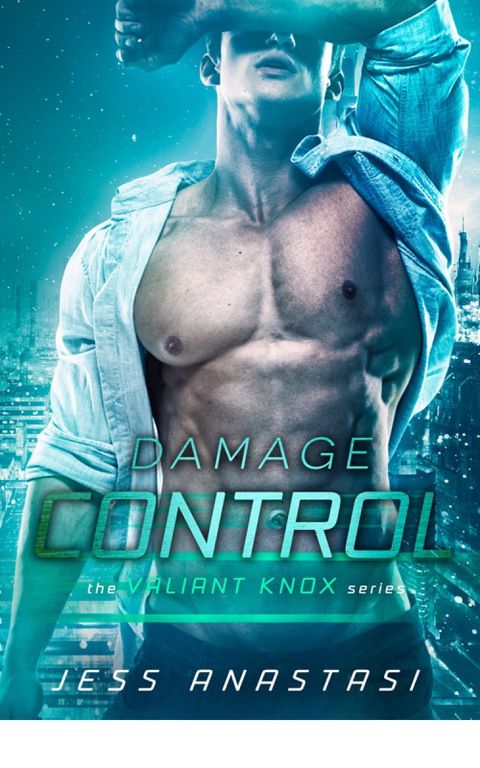 Cover image for book Damage Control
