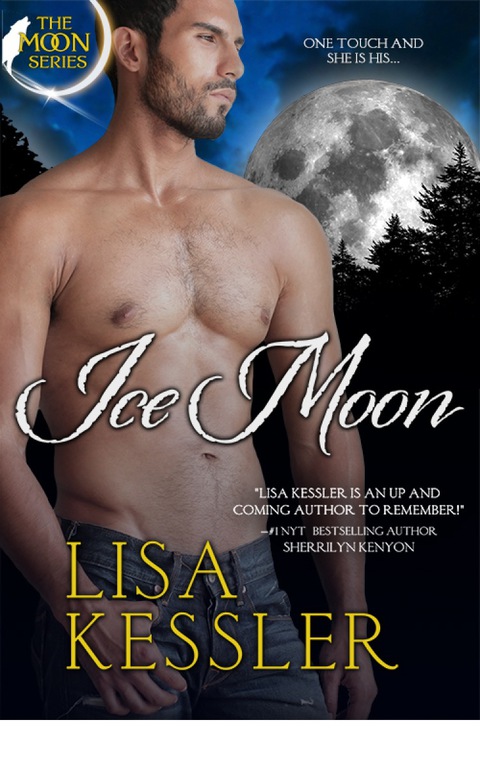 Cover image for book Ice Moon