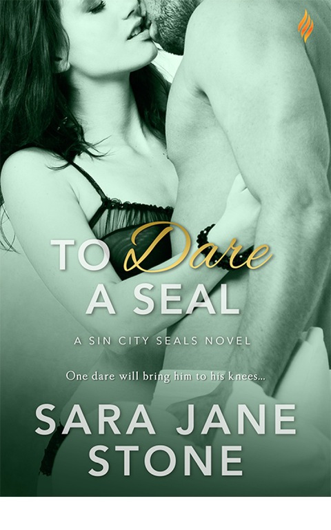 Cover image for book To Dare A SEAL