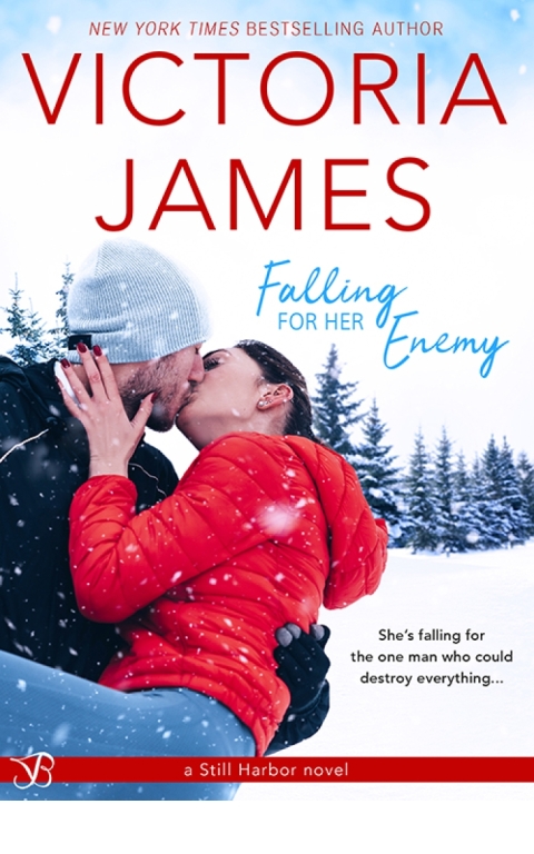 Cover image for book Falling for Her Enemy