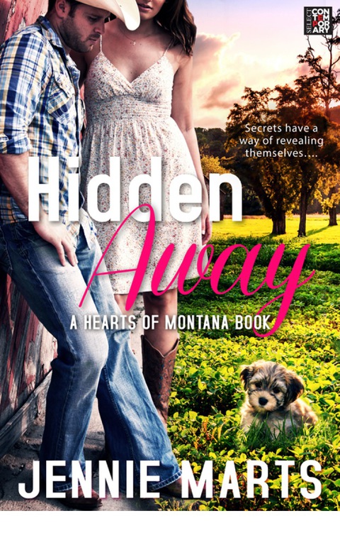 Cover image for book Hidden Away