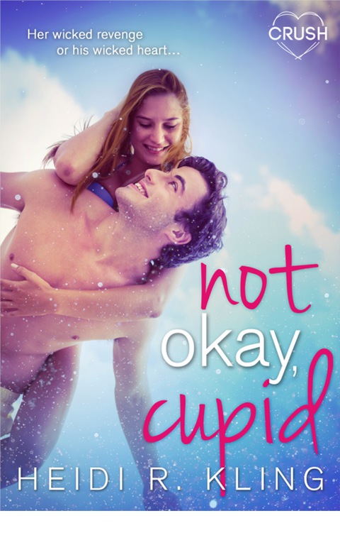 Cover image for book Not Okay Cupid