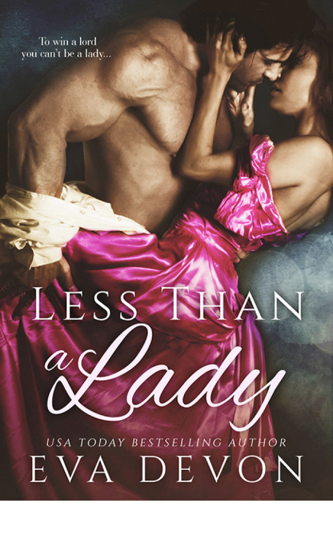 Cover image for book Less Than a Lady