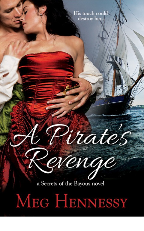 Cover image for book A Pirate's Revenge