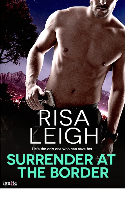 Cover image for book Surrender at the Border