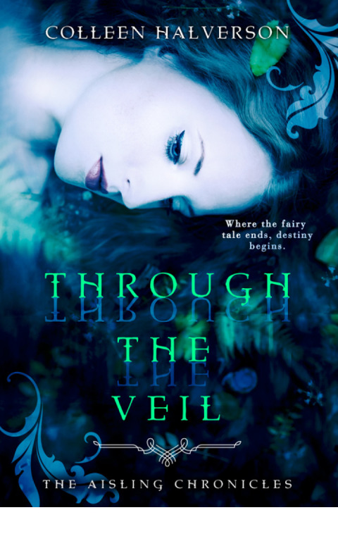 Cover image for book Through The Veil