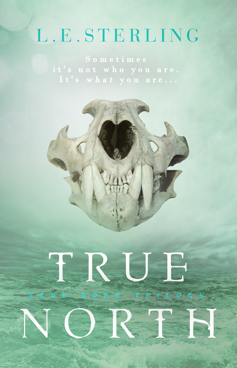 Cover image for book True North