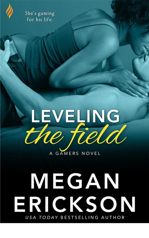 Cover image for book Leveling The Field