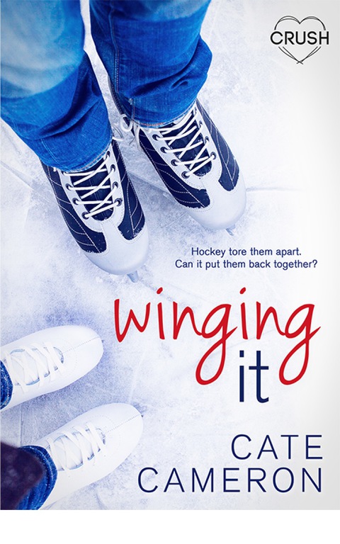 Cover image for book Winging It