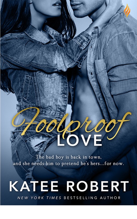 Cover image for book Foolproof Love
