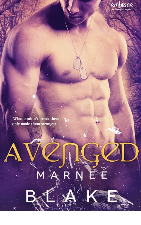 Cover image for book Avenged