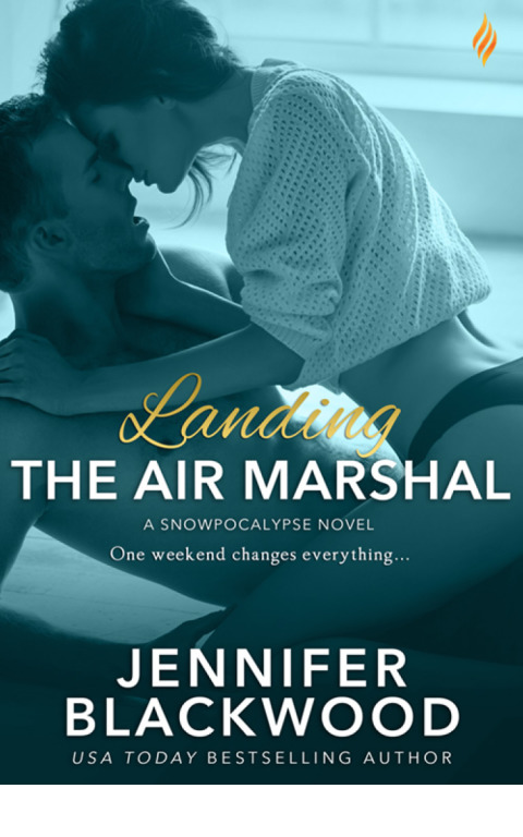 Cover image for book Landing the Air Marshal