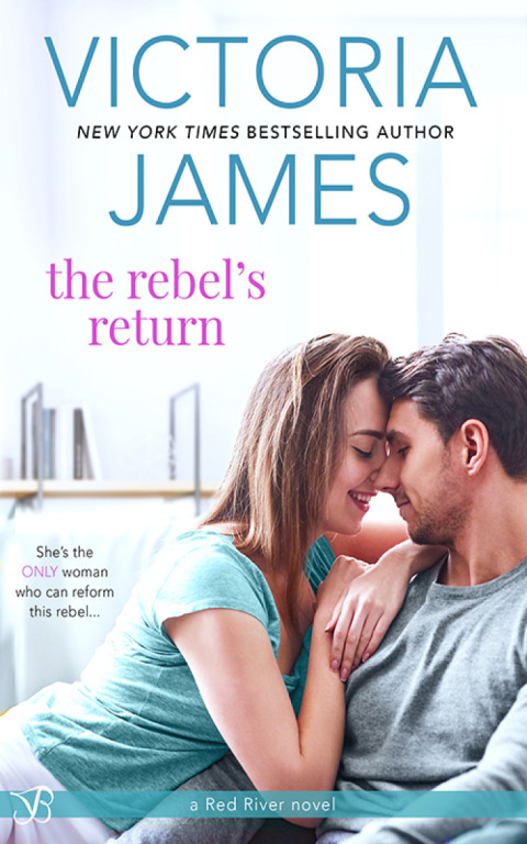 Cover image for book The Rebel's Return