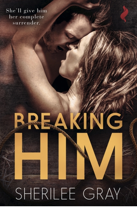 Cover image for book Breaking Him