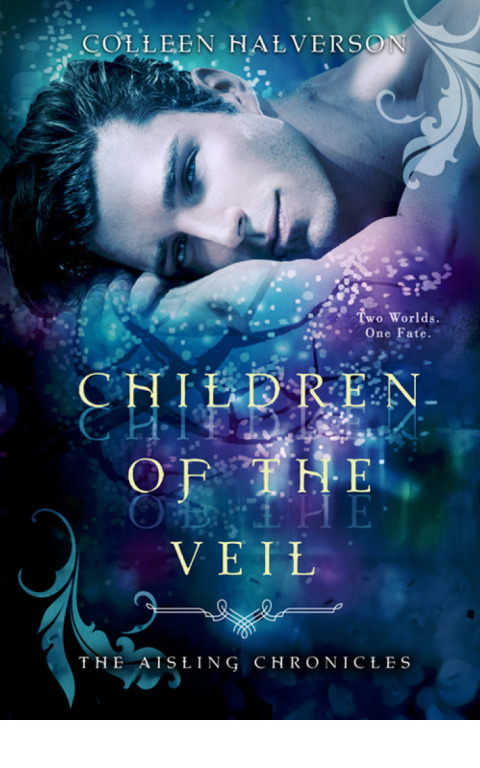 Cover image for book Children of the Veil