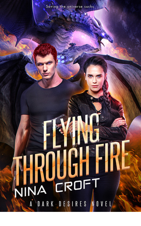 Cover image for book Flying Through Fire