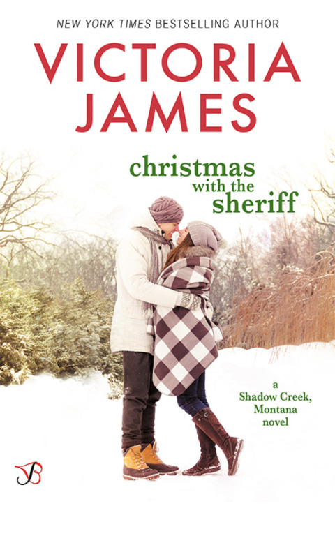 Cover image for book Christmas with the Sheriff
