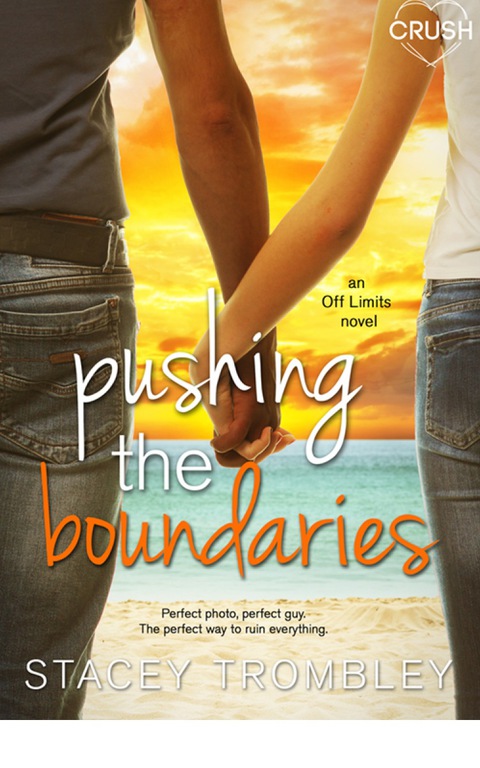 Cover image for book Pushing the Boundaries