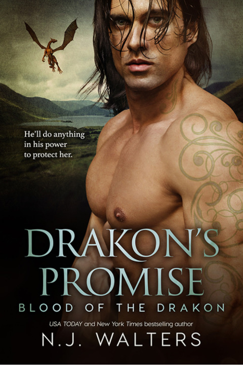 Cover image for book Drakon's Promise
