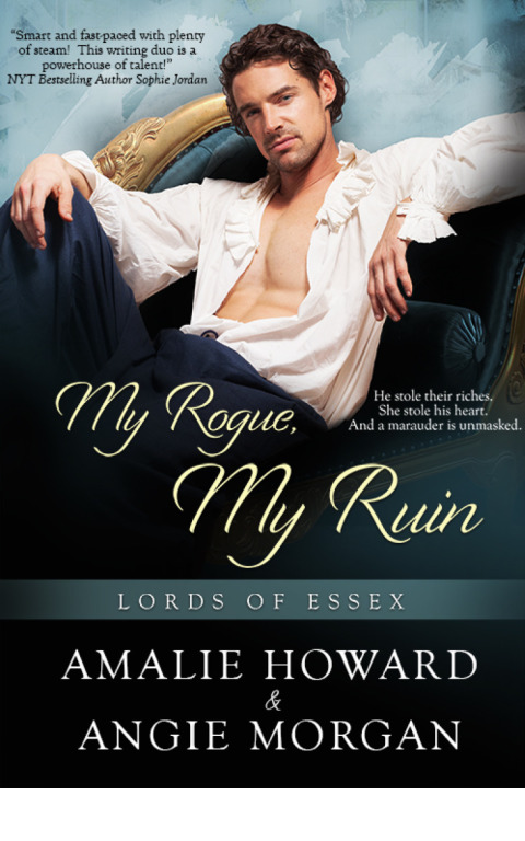 Cover image for book My Rogue, My Ruin