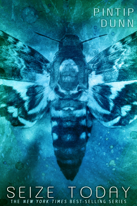 Cover image for book Seize Today