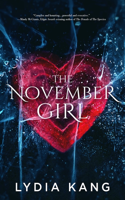Cover image for book The November Girl