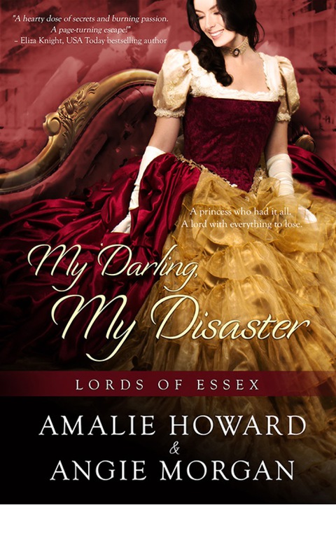 Cover image for book My Darling, My Disaster