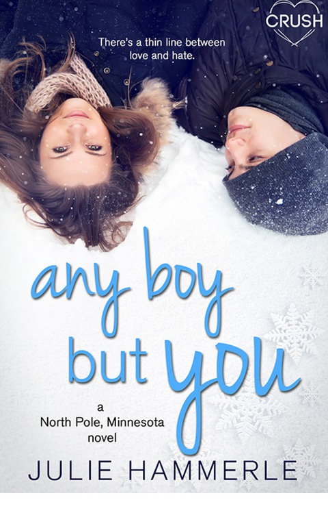 Cover image for book Any Boy but You